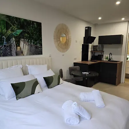 Oasis Spalagon Chauffe Climatise Arena Parc Expo Apartment Perols